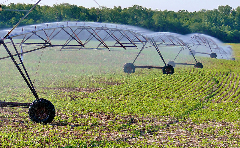 Kelley irrigation