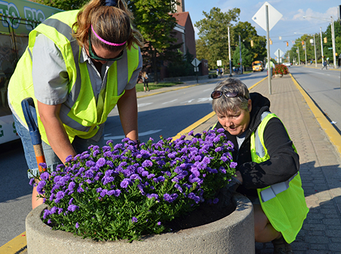 bicentennial relay flowers