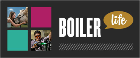 Boiler Life