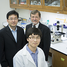 Pancreatic cancer research