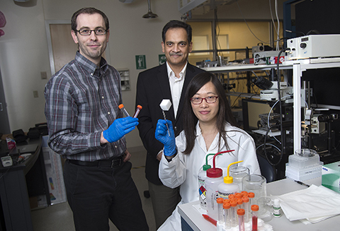 Garimella lab oil-water