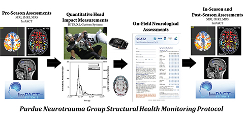 neurotrauma head impact protocol