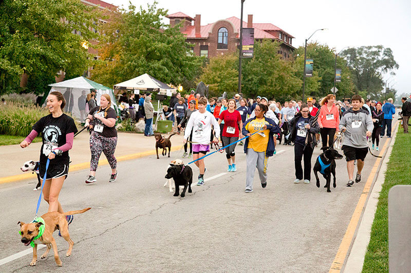 Purdue veterinary conference to feature talk on humananimal bond and