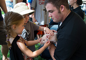 Spring Fest piglet petting