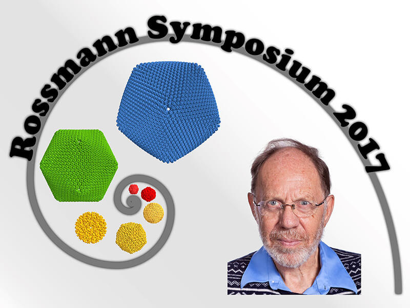 Rossmann symposium