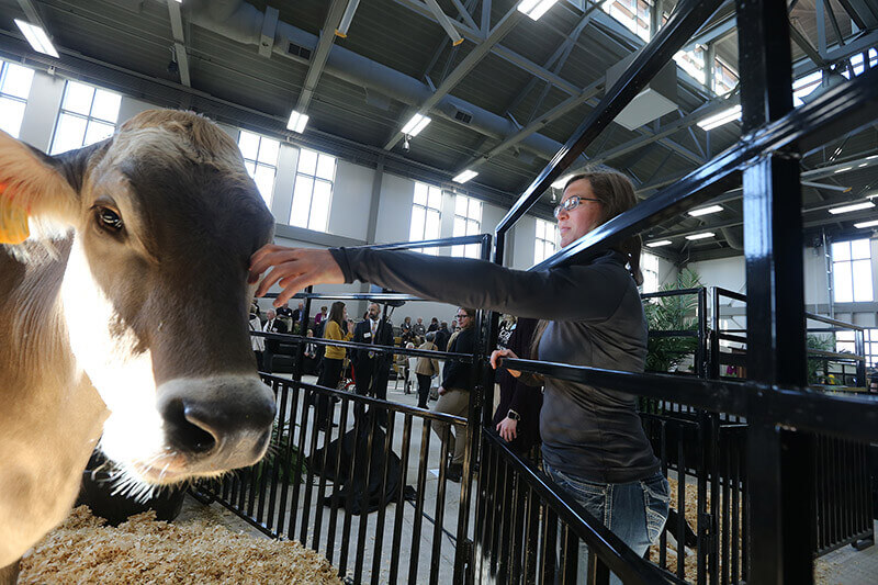 Ebner dedication girl-cow