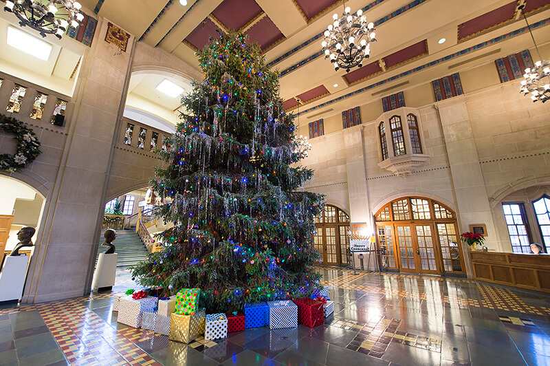 Purdue Christmas Tree 2022 Arrival Of 25-Foot-Tall Tree To Mark Beginning Of Holidays At The Union  Celebration - Purdue University News