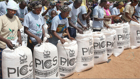 Farmers with full PICS bags