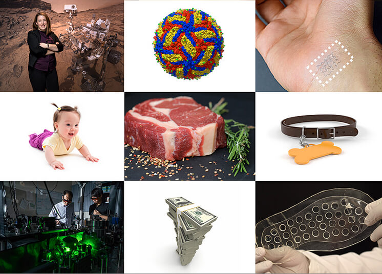 montage of research images