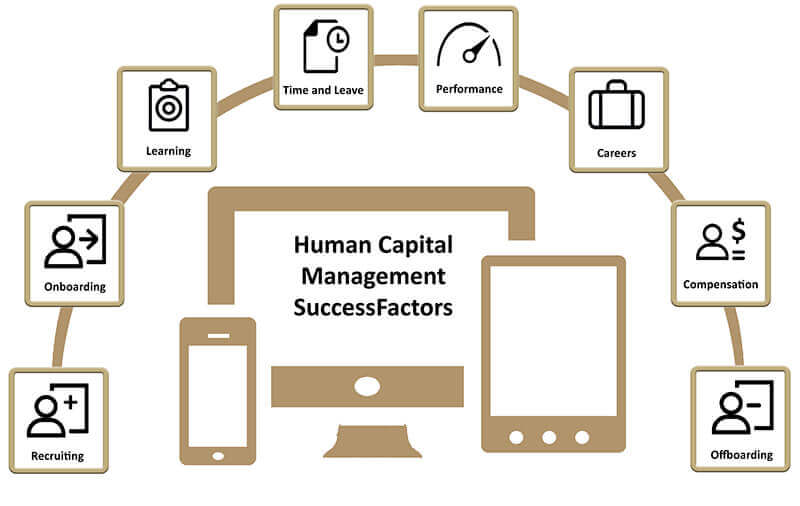 Human Capital Management SuccessFactors chart
