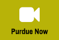 Purdue NOW