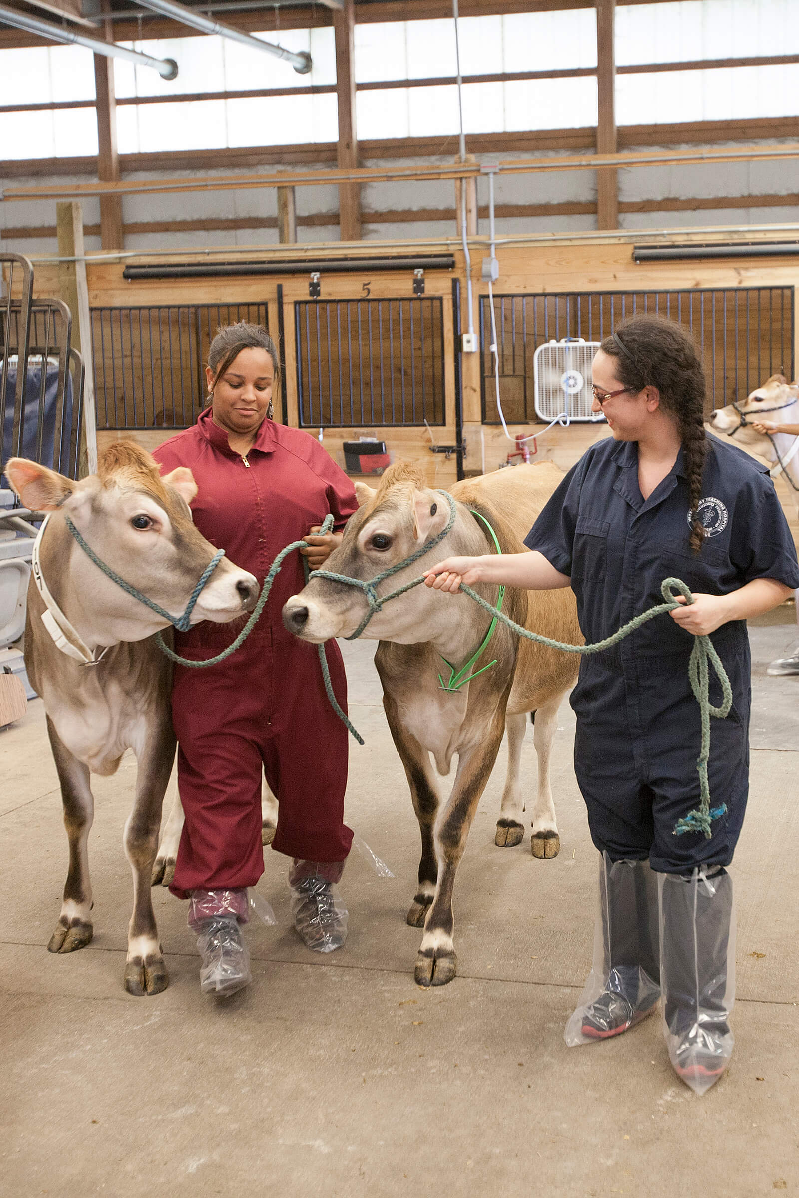 Purdue College of Veterinary Medicine establishes National Academy for  Veterinary Medicine with federal grant to increase diversity in profession  and address veterinarian shortages - Purdue University News