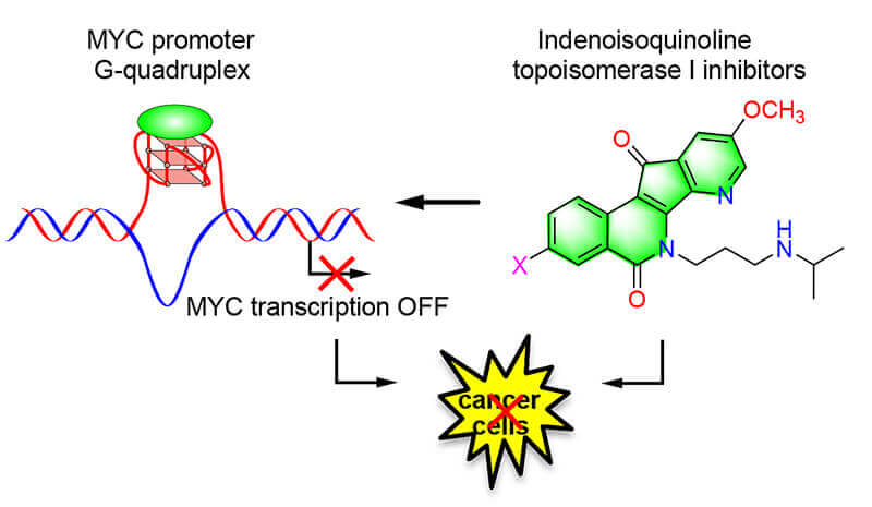 anticancer agents