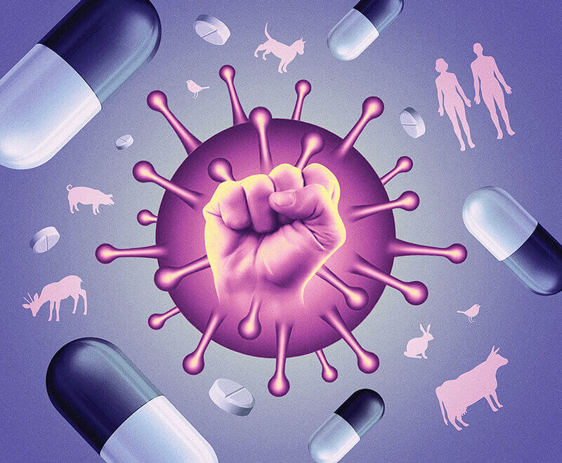 Antibiyotikler Ne Zaman Gereklidir?