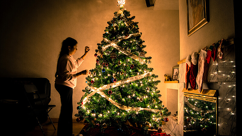 holiday ideas