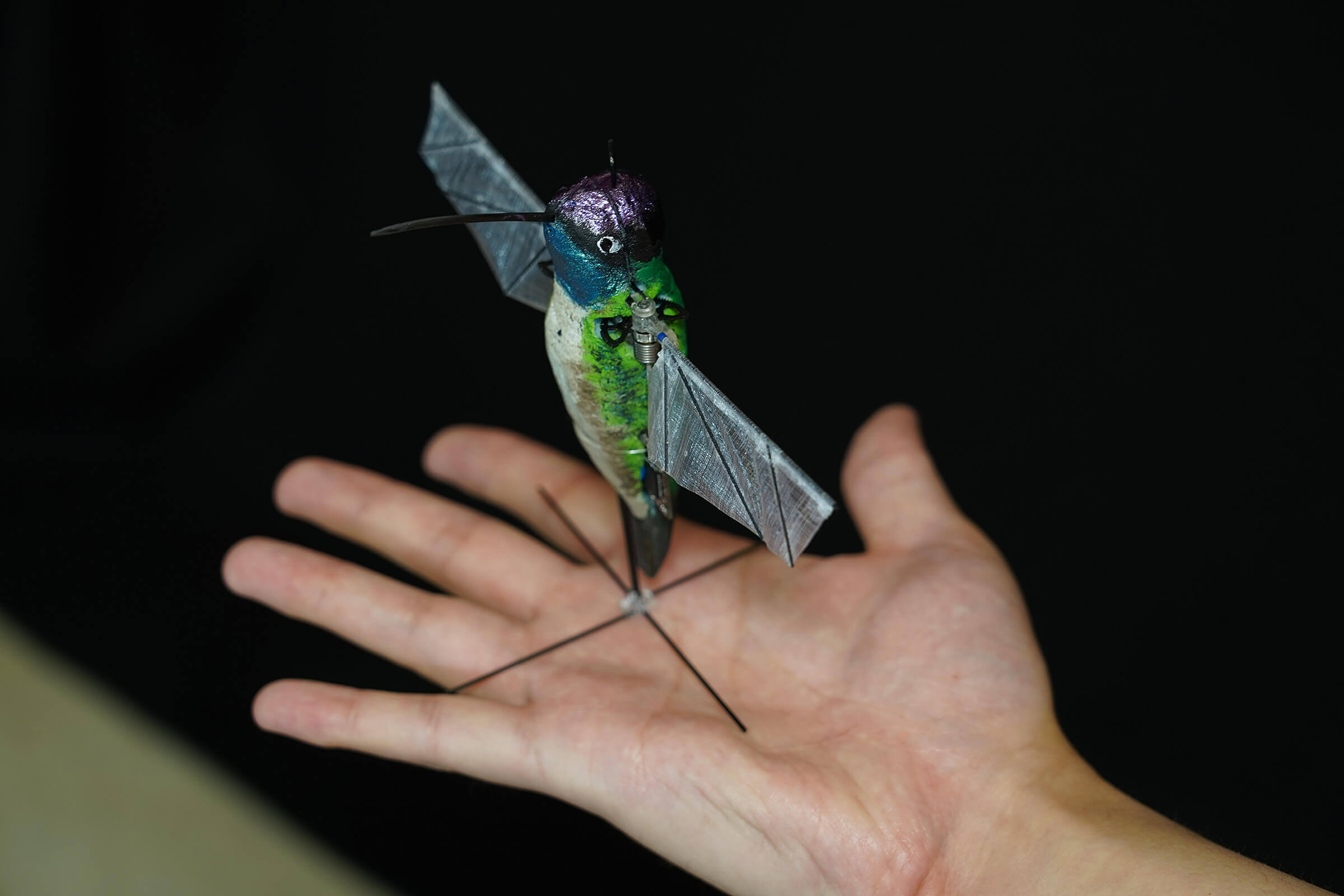 Hummingbird robot using AI to soon where drones - University News