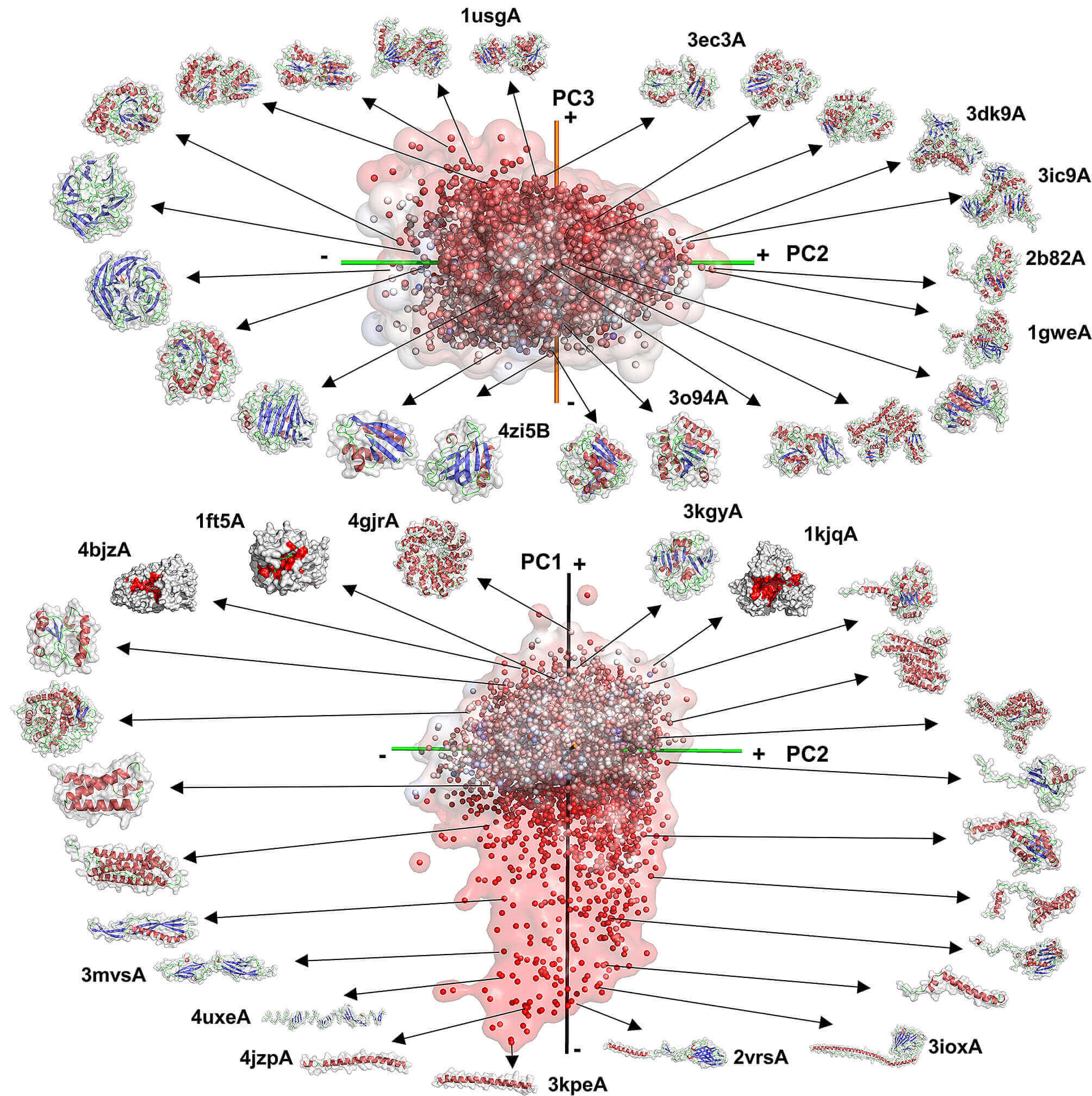 Creating a global map of the protein - Protein Mapping 