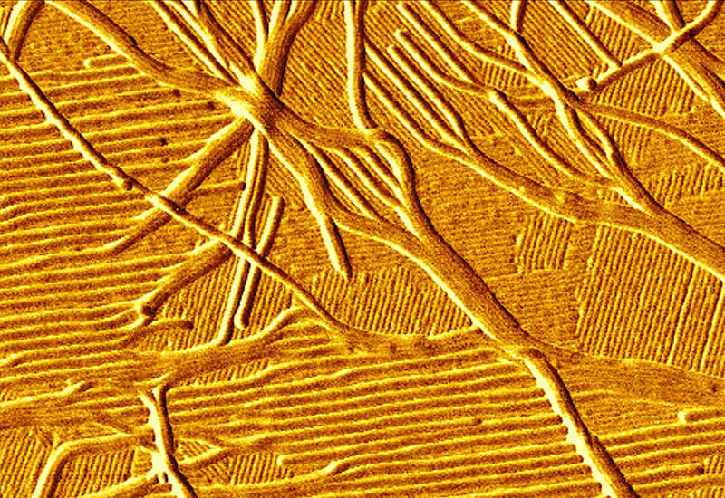 Transforming biology