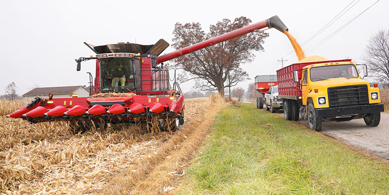 corn harvest, combine, trucks