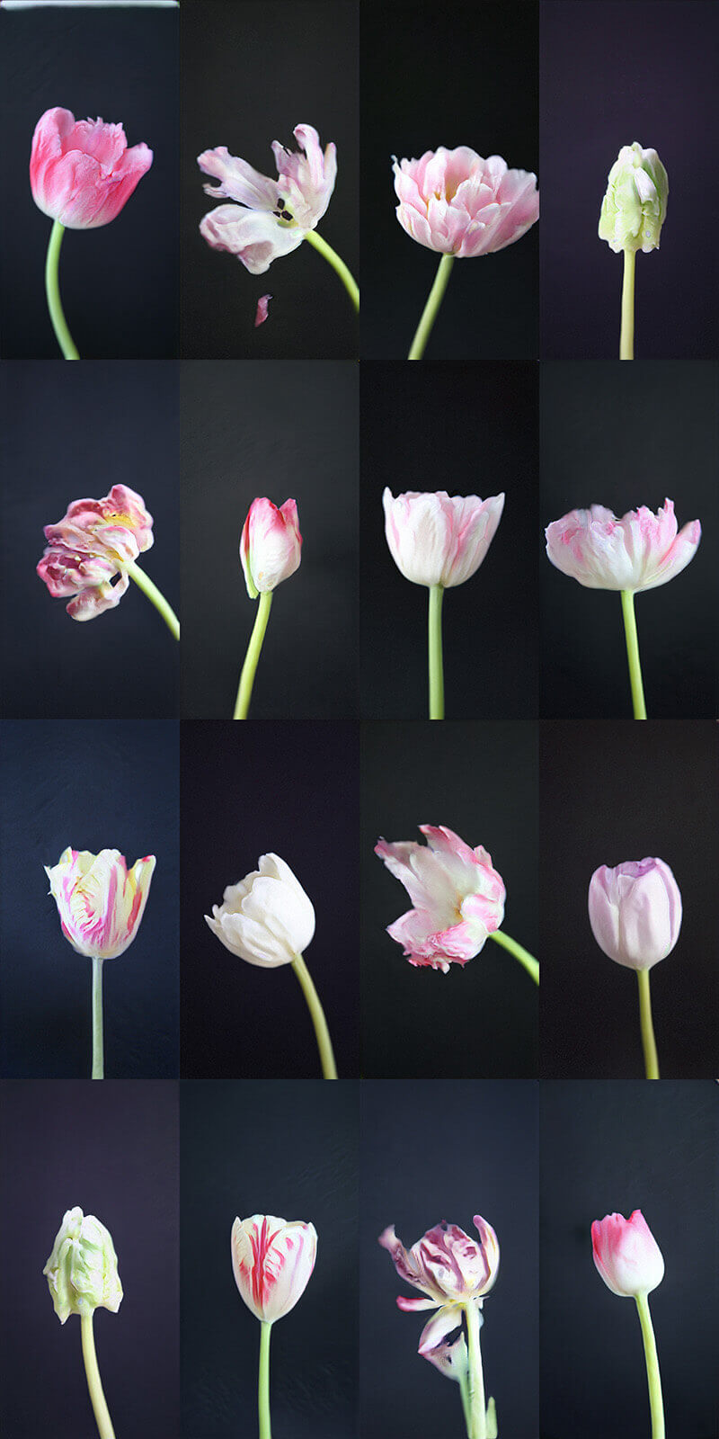 'Dreaming, Automated' exhibition