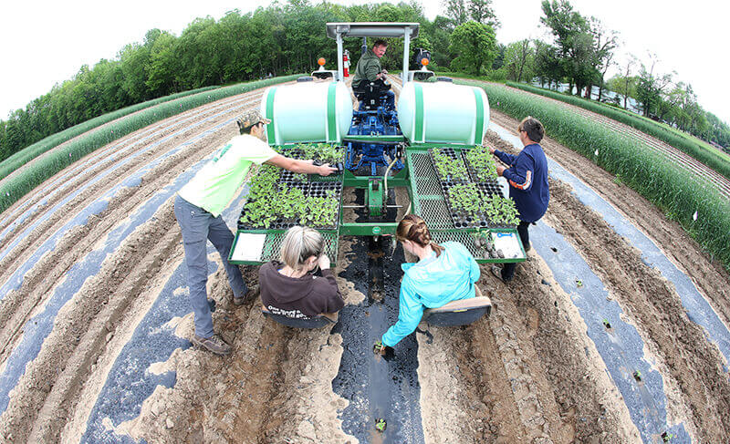 Planting at Southwest Purdue Agriculture Center