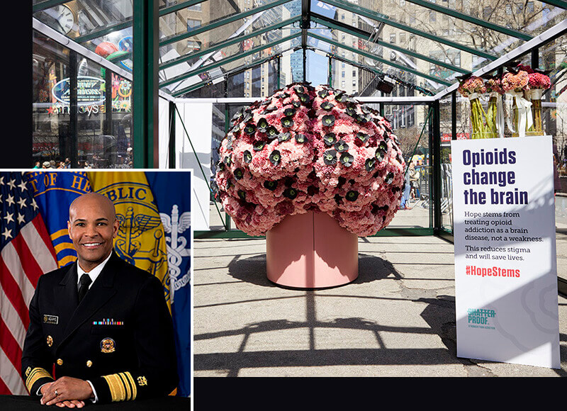 Brain Flower project