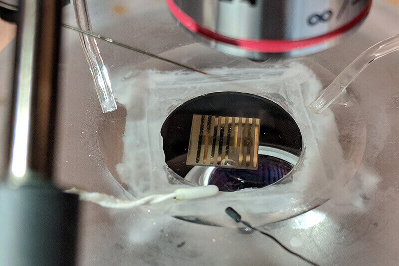 biosensor under microscope