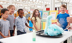 brief image description