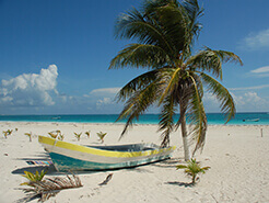 tropical beach scene