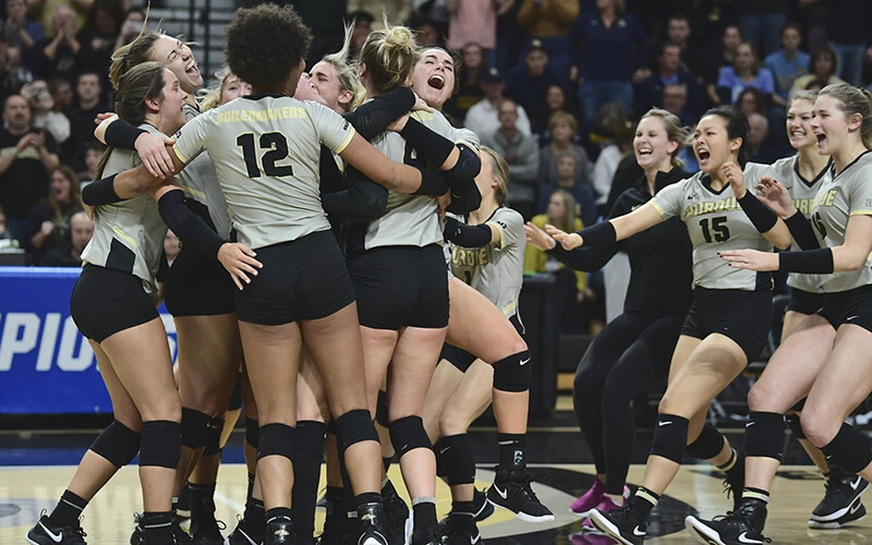 Volleyball teaming celebrating