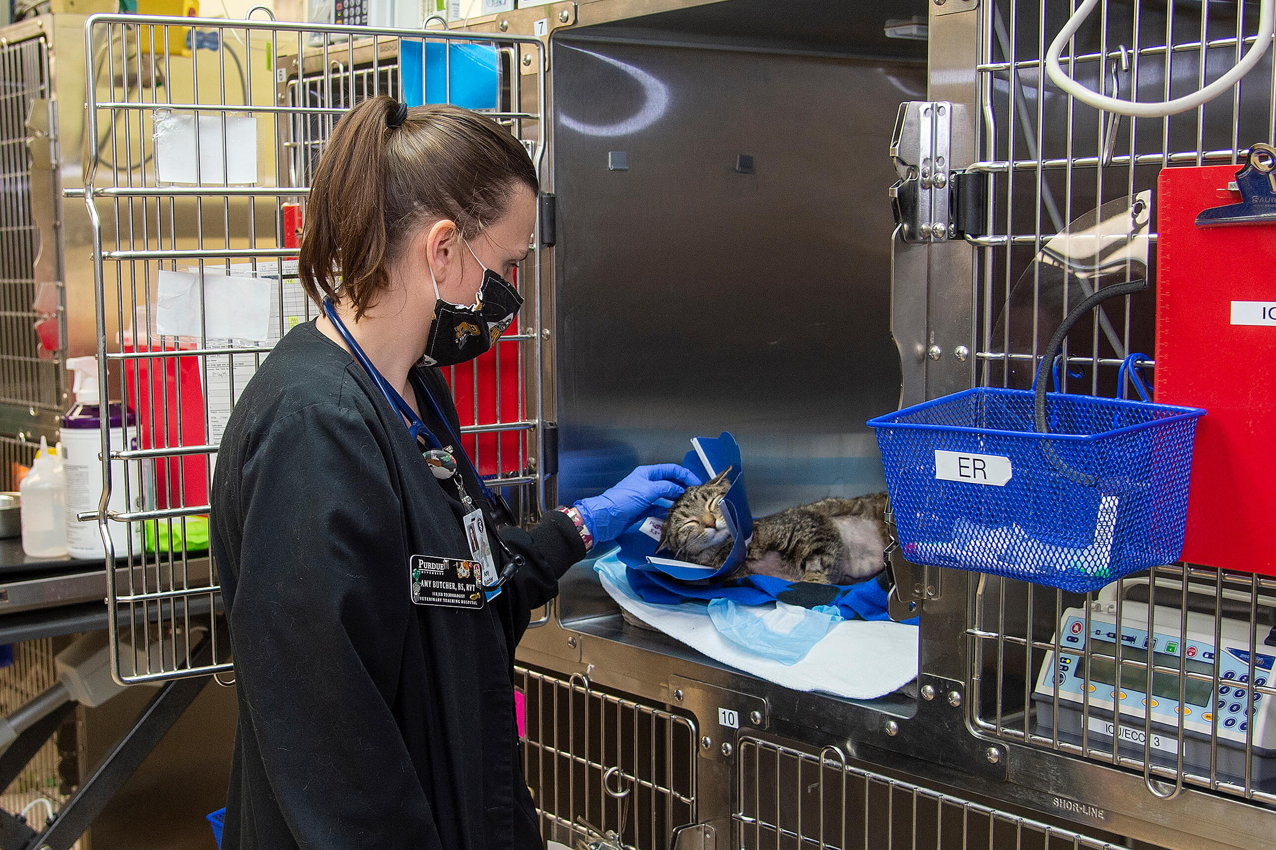 Purdue University's Veterinary Hospital presses on to continue treating  Indiana's animals - Purdue University News