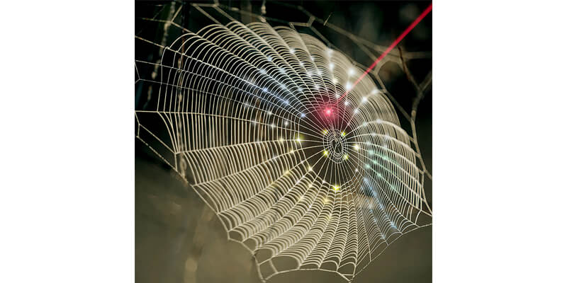 Innovation spins spider web architecture into 3D imaging