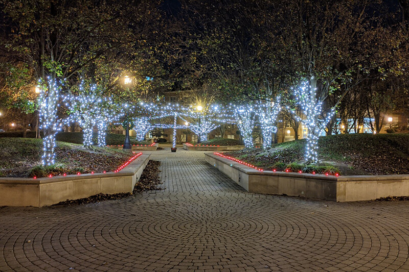 light display in Academy Park
