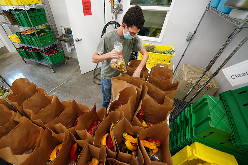 student placing subscription bags of produce in vehicle