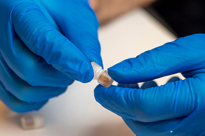 Capsule designed to collect bacteria throughout the gut