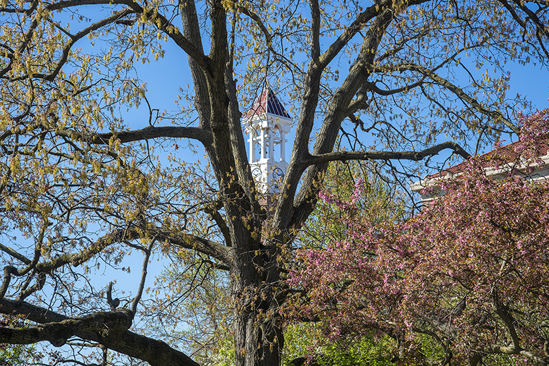 bell-tower-spring