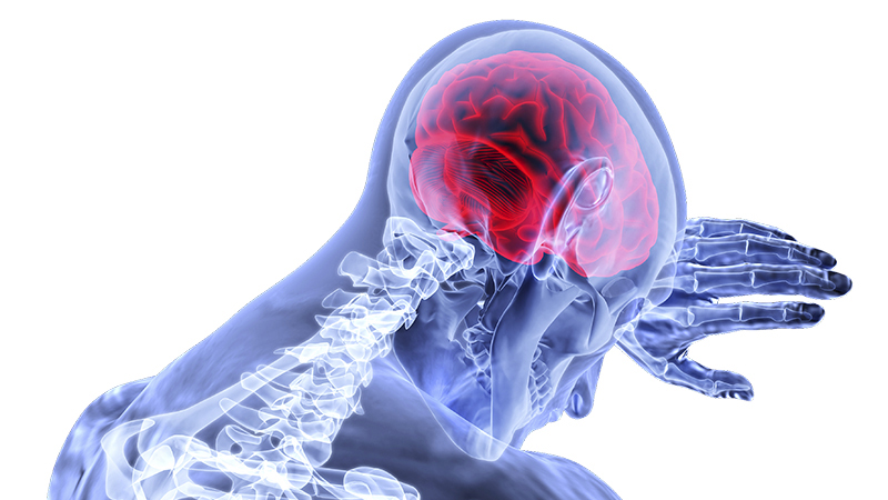 Neuroscience seminar highlights technologies for brain injuries, vaccine developments - Vimarsana News