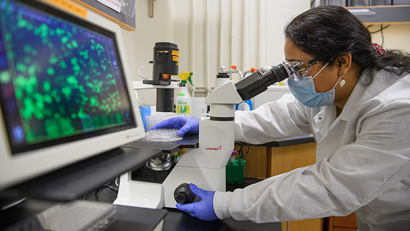 Computer In Scientific Research