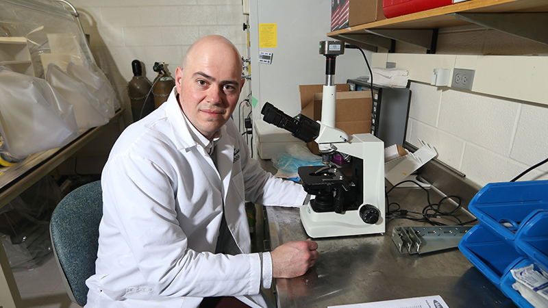 Microbes' sense of community, cooperation could improve biofuels - Vimarsana News