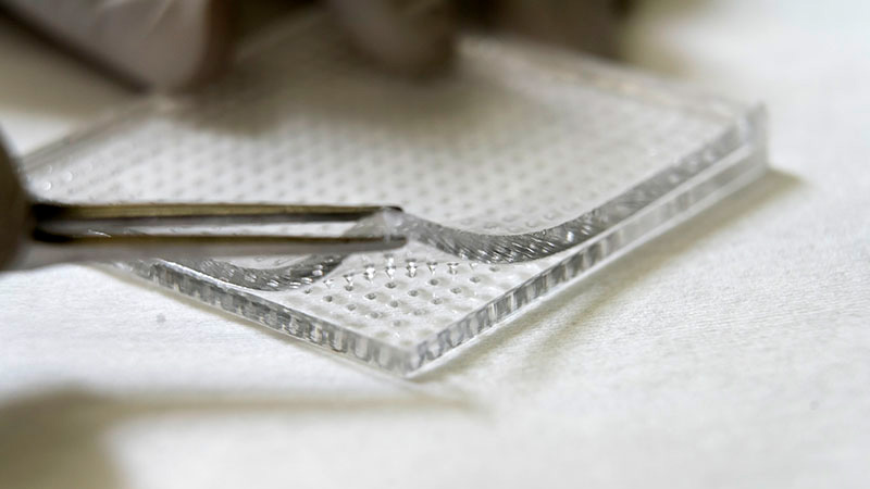 Purdue microneedles pierce biofilm for more effective topical delivery of antibiotics to infected wounds - Vimarsana News