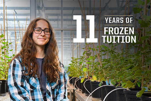 Frozen tuition