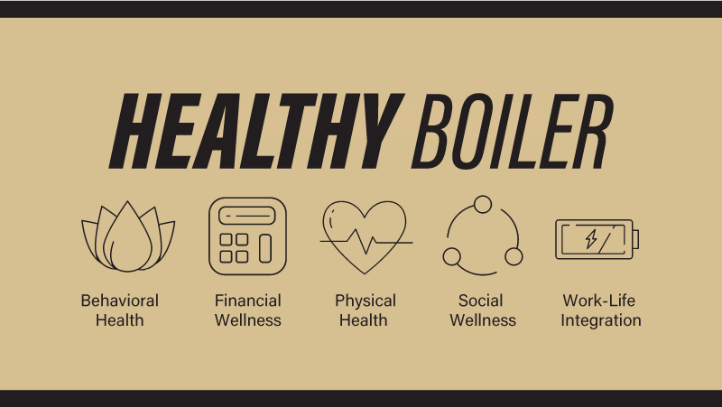 Healthy Boiler Program graphic