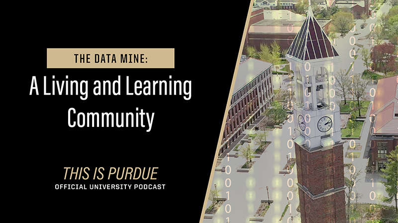 Data Mine learning community graphic
