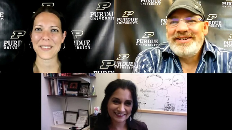 Sarah Nern and Steven Smith conduct a remote interview with Seema Mattoo