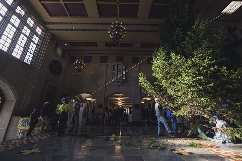 Christmas tree in Union's Great Hall