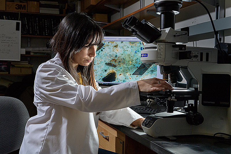 Velay-Lizancos using lab microscope