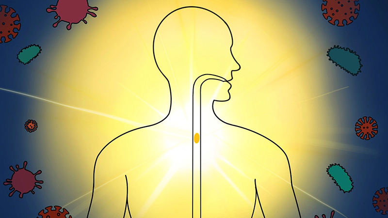 Startup seeks partners to advance virus therapeutics - Vimarsana News