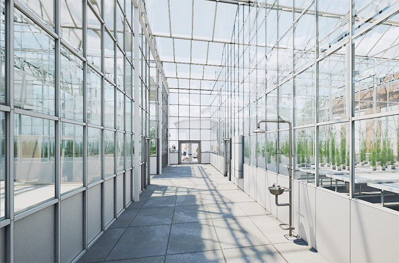greenhouse-corridor