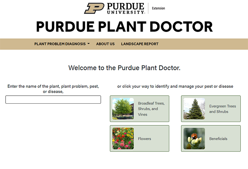 plant-doctor