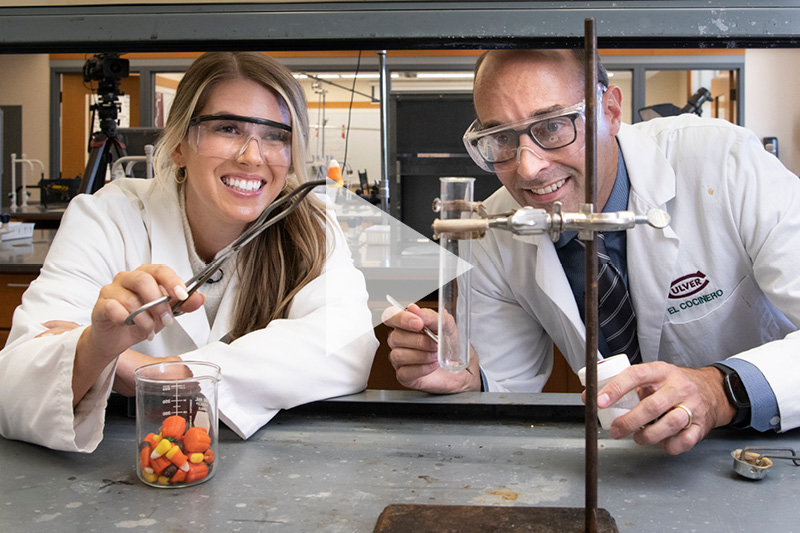 Kate Young, Phil Cook